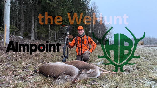 The WeHunt - schwedische Drückjagd bei Aimpoint