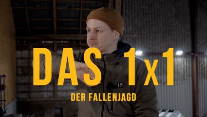 Das 1x1 der Fallenjagd - 𝗪𝗮𝘀 𝗶𝘀𝘁 𝗙𝗮𝗹𝗹𝗲𝗻𝗷𝗮𝗴𝗱 𝘄𝗶𝗿𝗸𝗹𝗶𝗰𝗵?