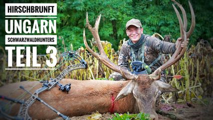 Gigantische Hirschbrunft in Ungarn | Mit Pfeil und Bogen | Team Schwarzwaldhunters | Teil3