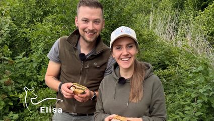 Frischling. Feuer. Fertig.