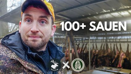 Unfassbare Drückjagd mit Dreispross in Frankreich