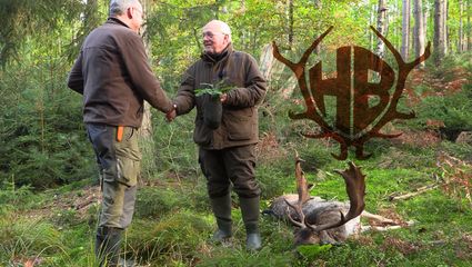 Damwildbrunft im Forstgut Reilmann - der Schmalschaufler und Knieper XXL