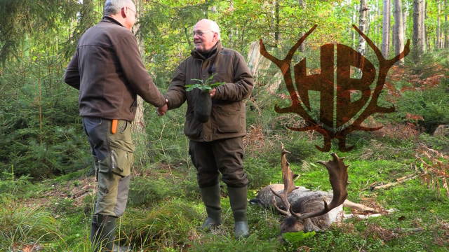 Damwildbrunft im Forstgut Reilmann - der Schmalschaufler und Knieper XXL