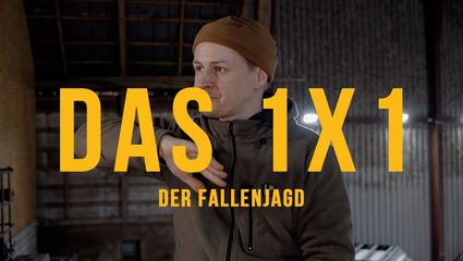Das 1x1 der Fallenjagd - 𝗪𝗮𝘀 𝗶𝘀𝘁 𝗙𝗮𝗹𝗹𝗲𝗻𝗷𝗮𝗴𝗱 𝘄𝗶𝗿𝗸𝗹𝗶𝗰𝗵?