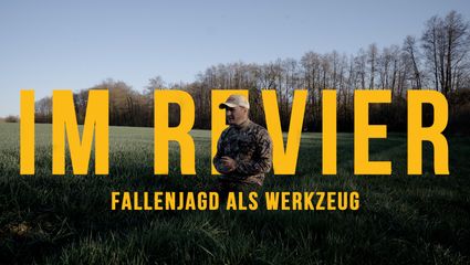 Warum, wie und wann nicht? - Fallenjagd als Werkzeug 