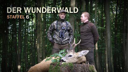 Der Wunderwald Staffel 6 | Starke Böcke
