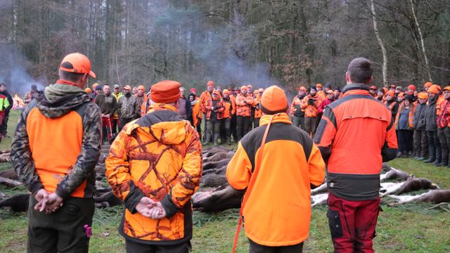 Die eigene Drückjagd von Gerold und Paul Reilmann im Dezember