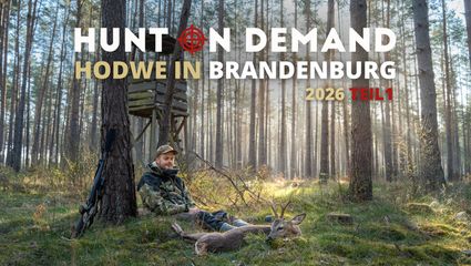 Jagdwoche in Brandenburg – HODWE 2026 Teil 1