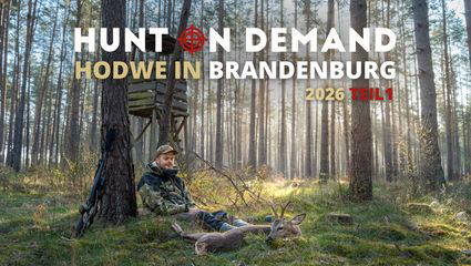 Jagdwoche in Brandenburg – HODWE 2026 Teil 1
