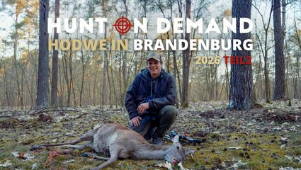 Jagdwoche in Brandenburg – HODWE 2026 Teil 2