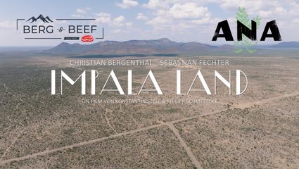 Impala Land - Namibia Teil 1
