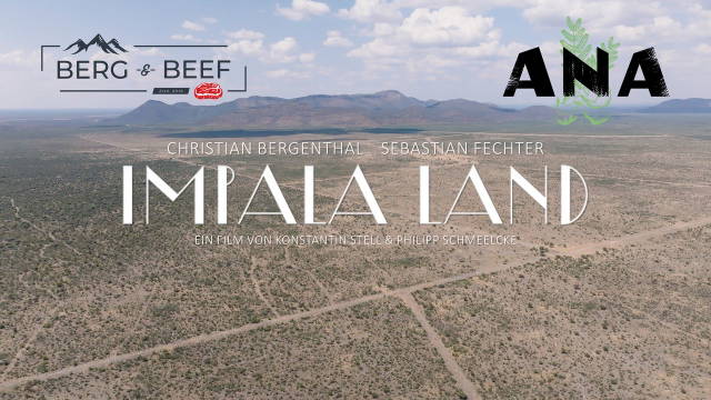 Impala Land - Namibia Teil 1