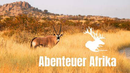 ABENTEUER AFRIKA 2025 part two