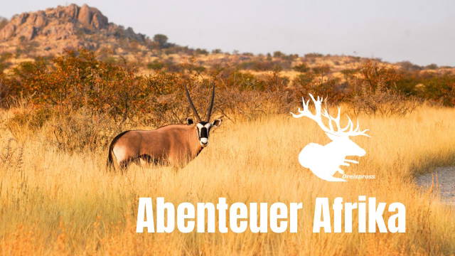 ABENTEUER AFRIKA 2025 part two