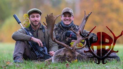 Damwildbrunft im Forstgut Reilmann - Erik´s kranke Überraschung