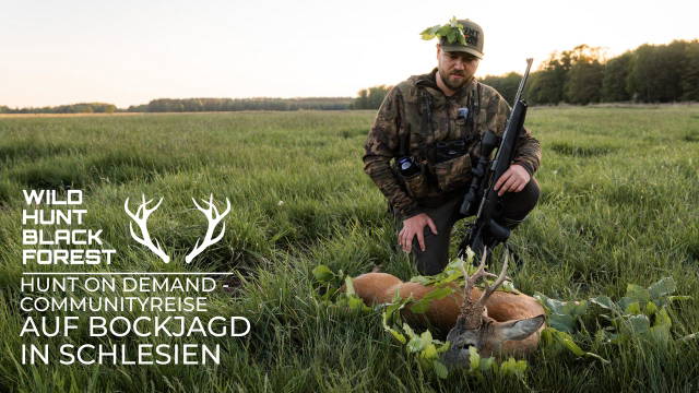 Hunt on Demand Communityreise - Auf Bockjagd in Schlesien