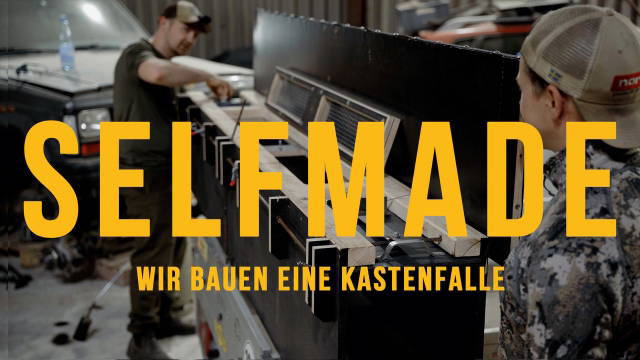 Kastenfalle selber bauen – Unsere Anleitung für den erfolgreichen Einstieg!