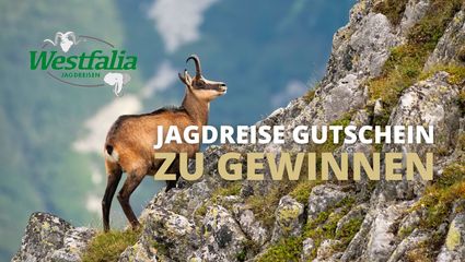 Jagdreise-Gutscheine zu gewinnen