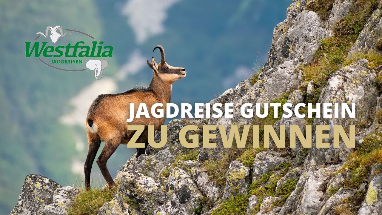 Jagdreise-Gutscheine zu gewinnen