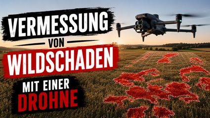 Wildschadensvermessung mit der Drohne