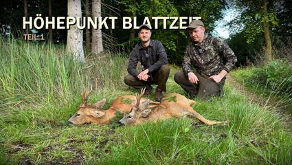 Höhepunkt Blattzeit in Mecklenburg Vorpommern Teil 1