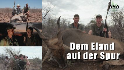 Dem Eland auf der Spur