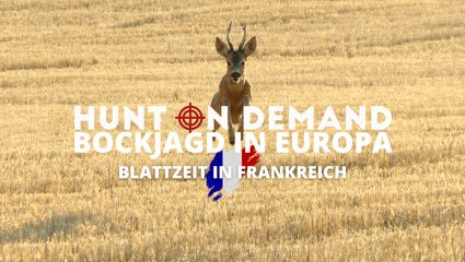BOCKJAGD IN EUROPA I Blattzeit in Frankreich I Folge 1