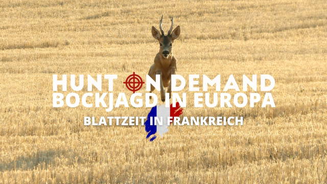 BOCKJAGD IN EUROPA I Blattzeit in Frankreich I Folge 1