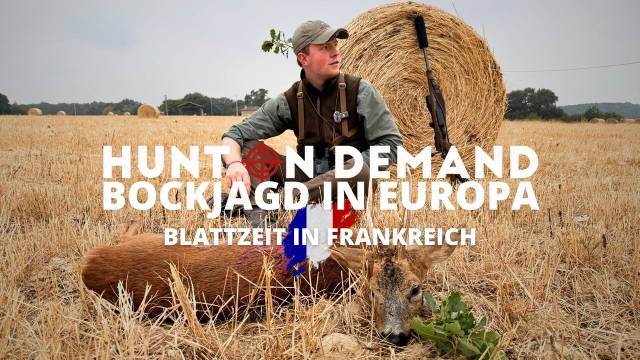 BOCKJAGD IN EUROPA I Blattzeit in Frankreich I Folge 4