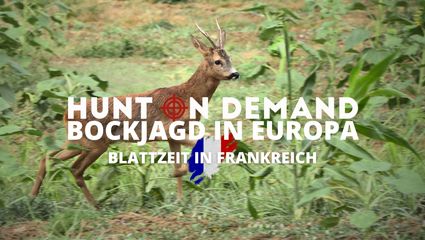 BOCKJAGD IN EUROPA I Blattzeit in Frankreich I Folge 5