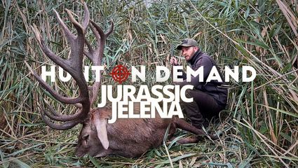 Hirschbrunft in den Donauauen I Best of JURASSIC JELENA