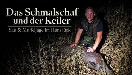 Das Schmalschaf und der Keiler -  Sau & Muffeljagd im Hunsrück 