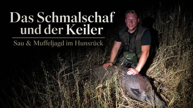 Das Schmalschaf und der Keiler - Sau & Muffeljagd im Hunsrück