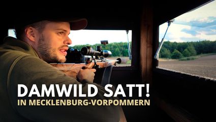 Knifflige Damwildjagd in Mecklenburg-Vorpommern