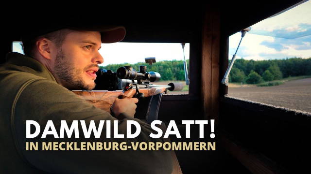 Knifflige Damwildjagd in Mecklenburg-Vorpommern