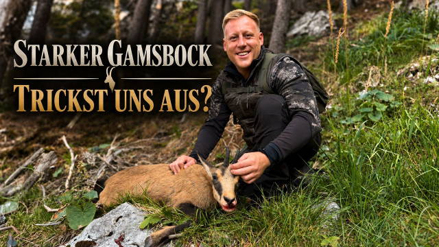 STARKER Gamsbock trickst uns aus? - Gamsjagd in den tiefen Schluchten Bayerns