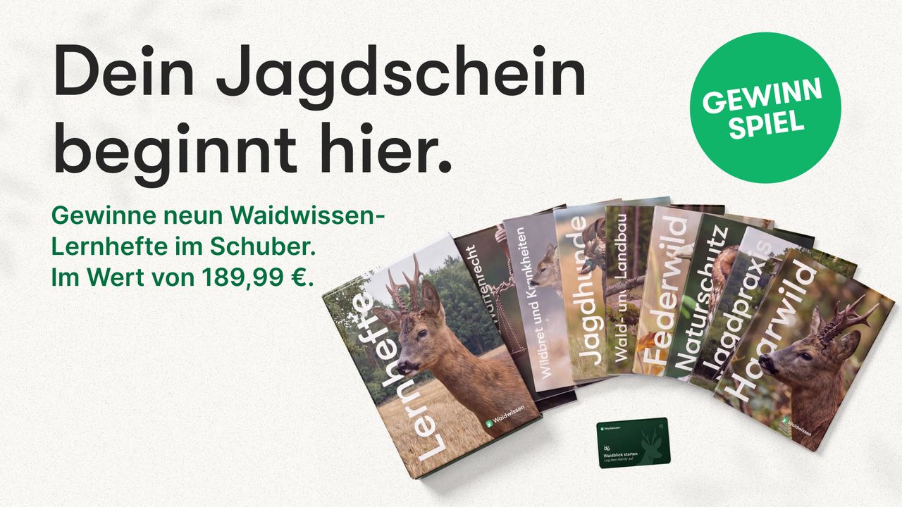 Gewinne die neuen Waidwissen Lernhefte!