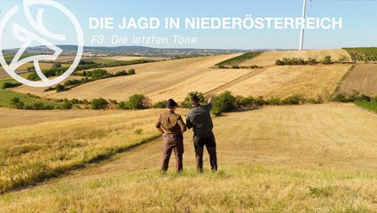 Die Jagd in Niederösterreich - Folge 3: Die letzten Töne 🌾🦌📯🌿