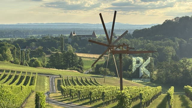 DER GEBURTSTAGSBOCK