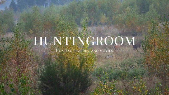 Kahlwildjagd am Ende der Brunft – Jagdliche Sternstunden