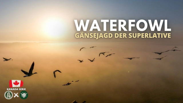 Das Kanada-Abenteuer 🇨🇦 3 Wochen Jagd in ALBERTA 🐻 FOLGE 1 WATERFOWL 🦆