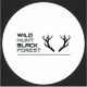 Wild Hunt Black Forest