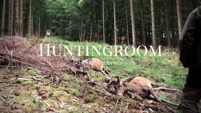 Rothirsche, Rehböcke und Keiler - Jagd in Europa Teil 2/2