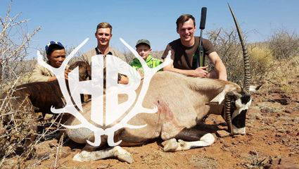 auf abnorme Oryx in Namibia