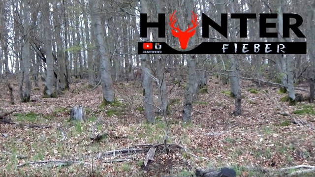 "Schwarzwildjagd" bei Tageslicht - GERMAN HD 2017