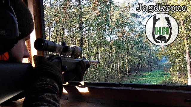 Drückjagd mit Brüdern im Norden