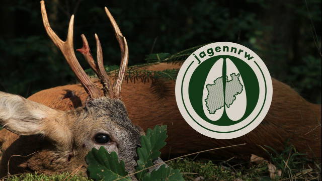 Traumbock - Blattjagd im Bock Paradies