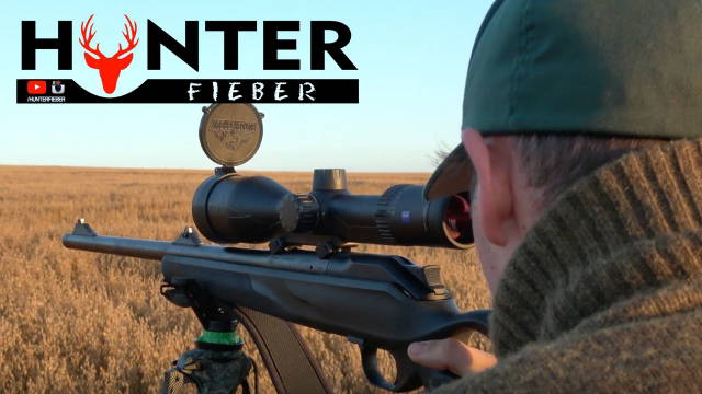 Bockjagd Roebuck - Hunting in German Hunterfieber 2017 4K