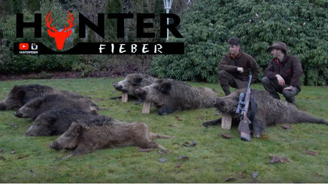 Spannende Schwarzwild Nachsuche bei Tageslicht - Hunterfieber Abenteuer #1