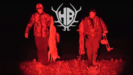 Rotlichtjagd 1 - auf Coyoten und Bobcat
